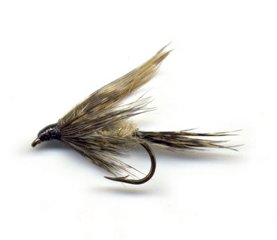Våtfluer 2pk. Dabbo