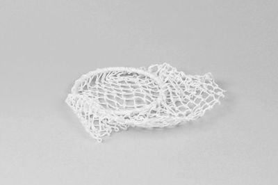 120 mm Entrance Ring with Netting