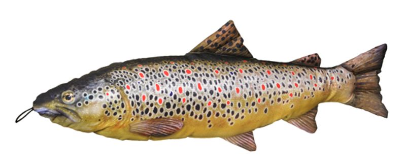 Kosefisk Ørret 65cm