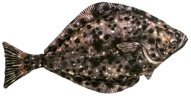 Main Image Kosefisk Kveite 100cm