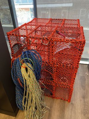 Complete Crayfish Pot Line with 6 Pots